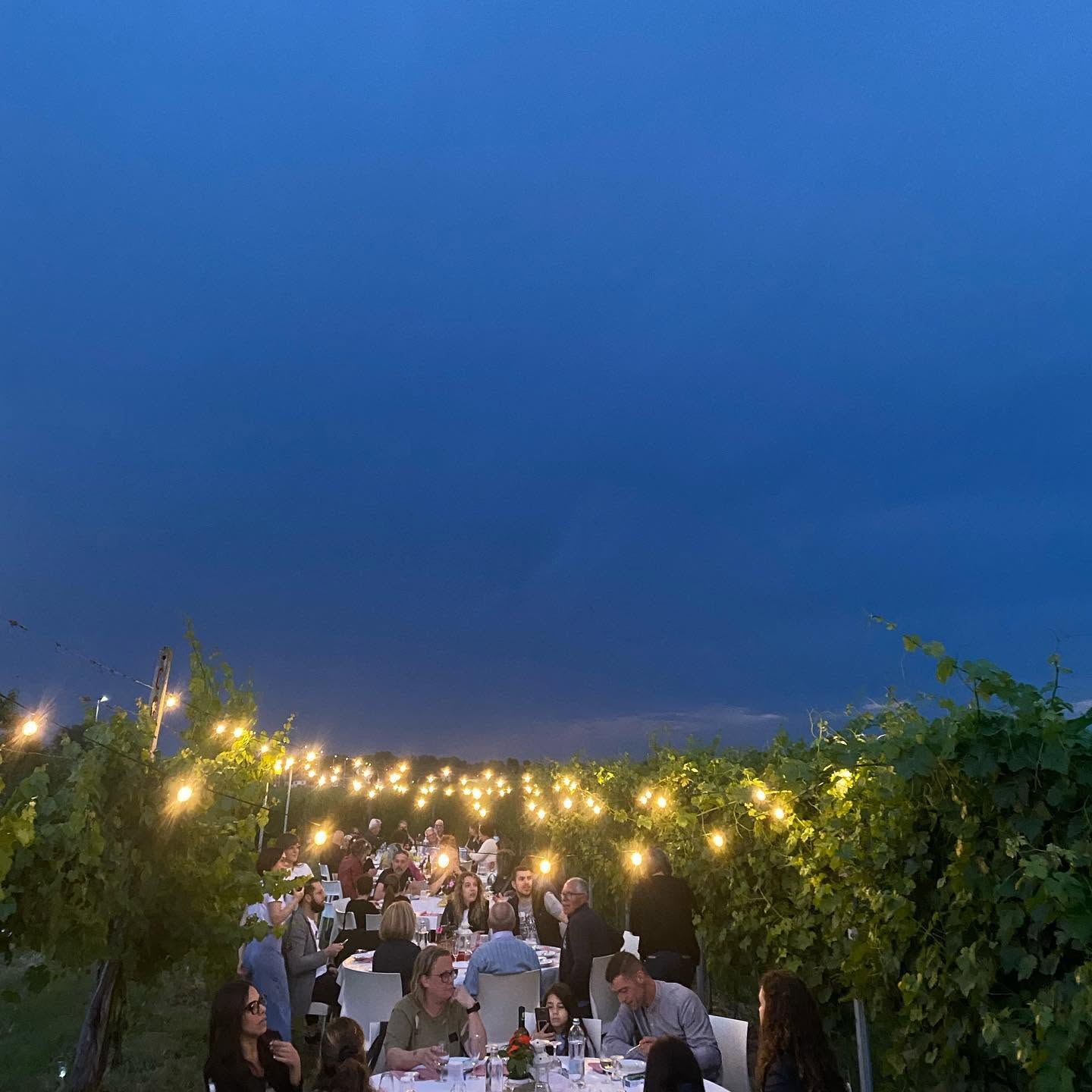 Cena sotto le stelle
